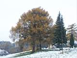 pict0005.jpg