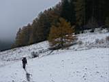 pict0007.jpg