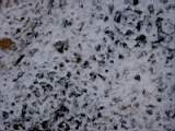 pict0010.jpg