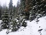pict0015.jpg