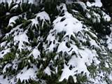 pict0016.jpg