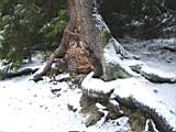 pict0017.jpg