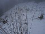 pict0020.jpg