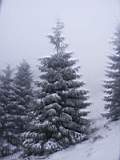 pict0021.jpg