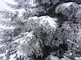 pict0022.jpg