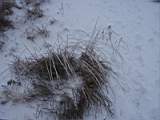 pict0023.jpg