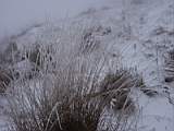 pict0024.jpg