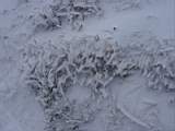 pict0027.jpg