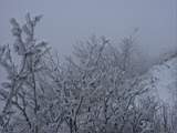 pict0029.jpg