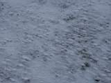pict0033.jpg