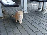 pict0048.jpg