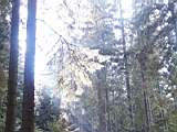 pict0062.jpg