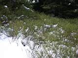 pict0063.jpg