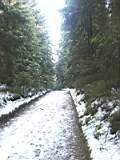 pict0064.jpg