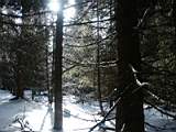 pict0067.jpg