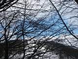 pict0071.jpg