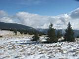 pict0097.jpg