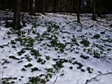 pict0102.jpg