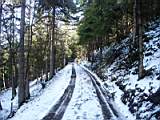 pict0103.jpg