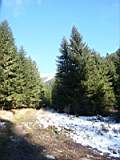 pict0107.jpg