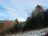 pict0111.jpg