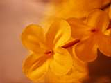 pict0128.jpg