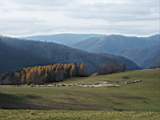 pict0172.jpg