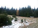pict0178.jpg