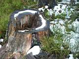 pict0185.jpg