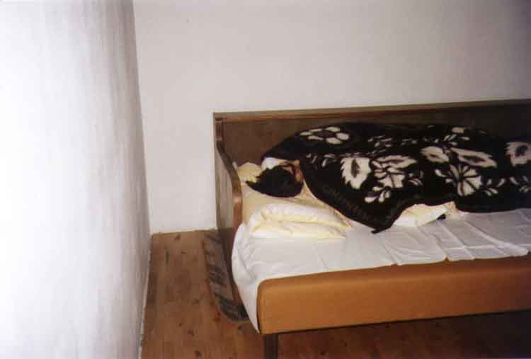 If picture is not shown here, it probably doesnot exist for this quality ... (choose another quality)