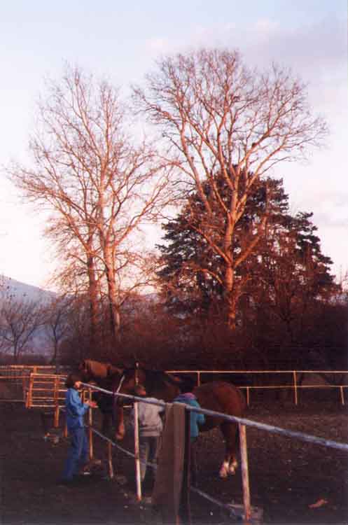 If picture is not shown here, it probably doesnot exist for this quality ... (choose another quality)