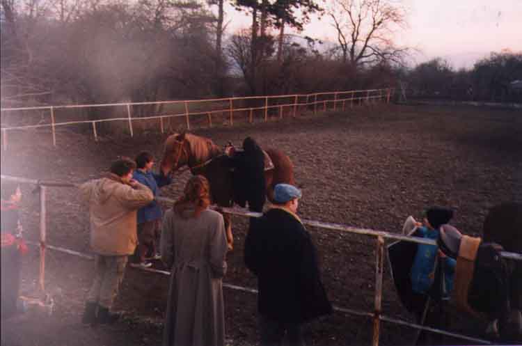 If picture is not shown here, it probably doesnot exist for this quality ... (choose another quality)