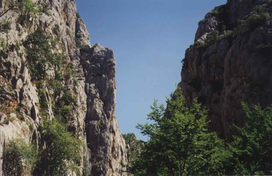 If picture is not shown here, it probably doesnot exist for this quality ... (choose another quality)