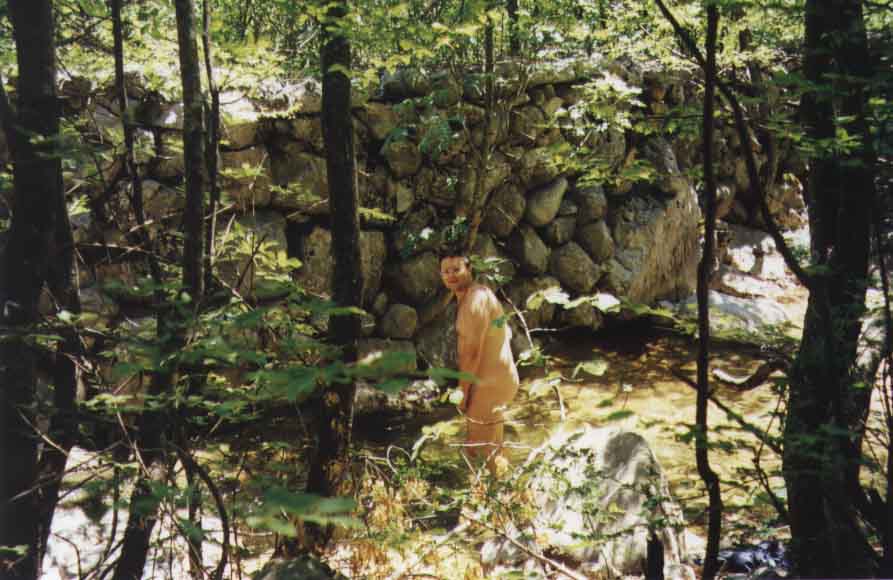 If picture is not shown here, it probably doesnot exist for this quality ... (choose another quality)