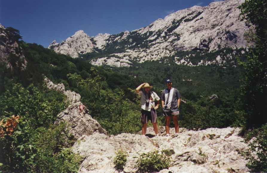 If picture is not shown here, it probably doesnot exist for this quality ... (choose another quality)