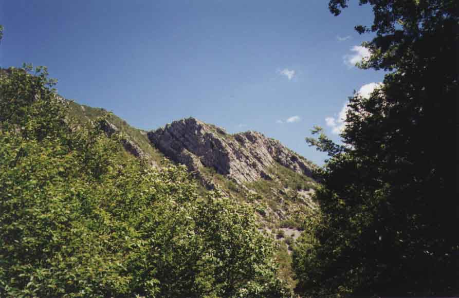 If picture is not shown here, it probably doesnot exist for this quality ... (choose another quality)