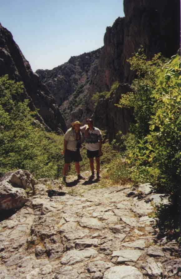 If picture is not shown here, it probably doesnot exist for this quality ... (choose another quality)