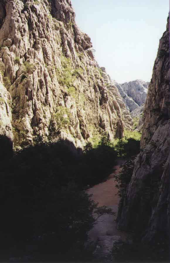 If picture is not shown here, it probably doesnot exist for this quality ... (choose another quality)