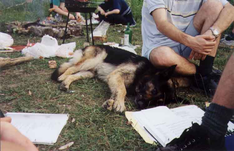 If picture is not shown here, it probably doesnot exist for this quality ... (choose another quality)