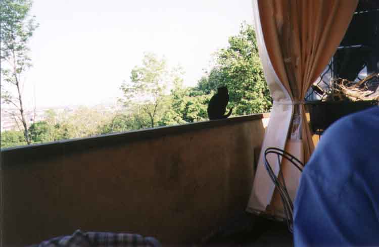 If picture is not shown here, it probably doesnot exist for this quality ... (choose another quality)