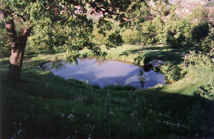 If picture is not shown here, it probably doesnot exist for this quality ... (choose another quality)