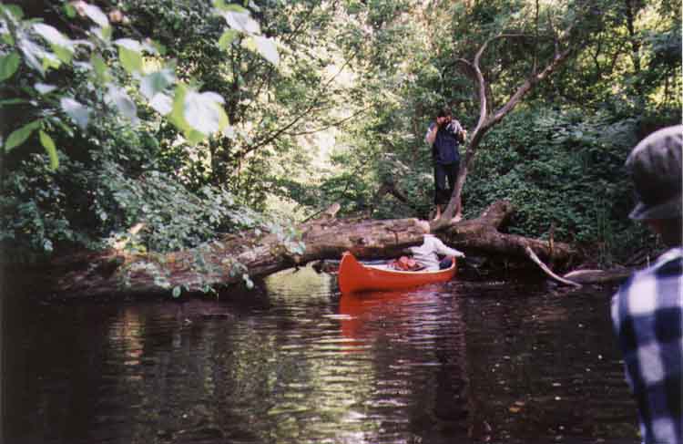 If picture is not shown here, it probably doesnot exist for this quality ... (choose another quality)