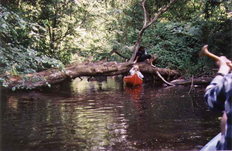 If picture is not shown here, it probably doesnot exist for this quality ... (choose another quality)