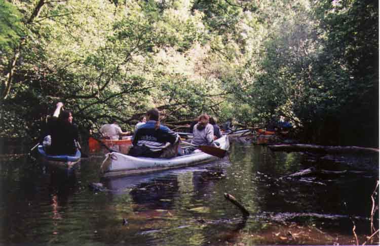 If picture is not shown here, it probably doesnot exist for this quality ... (choose another quality)