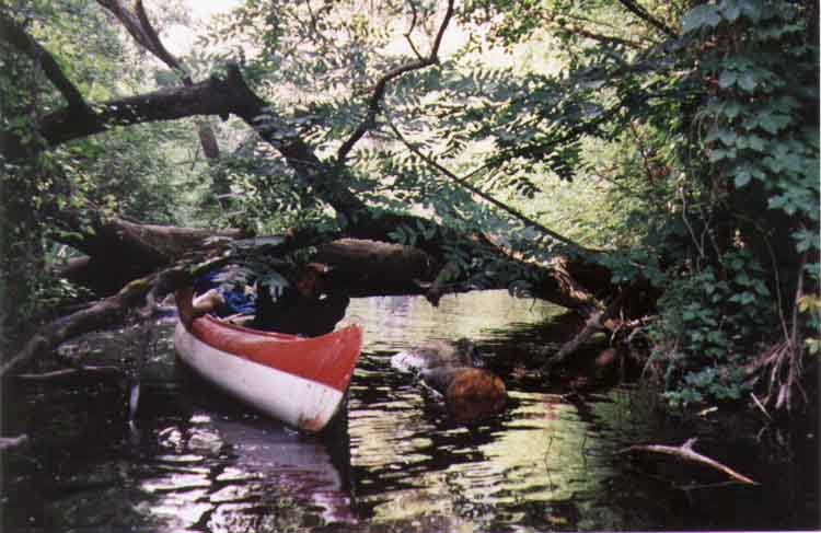 If picture is not shown here, it probably doesnot exist for this quality ... (choose another quality)