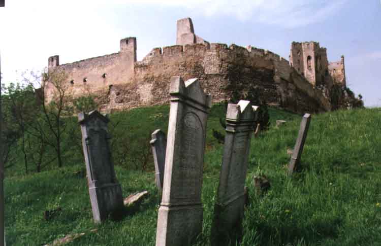 If picture is not shown here, it probably doesnot exist for this quality ... (choose another quality)