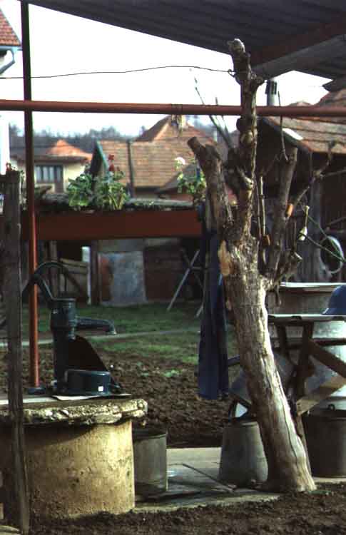 If picture is not shown here, it probably doesnot exist for this quality ... (choose another quality)