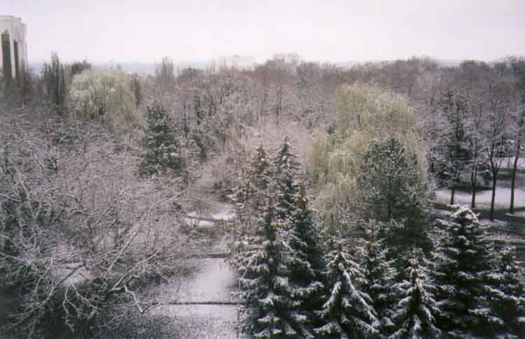 If picture is not shown here, it probably doesnot exist for this quality ... (choose another quality)