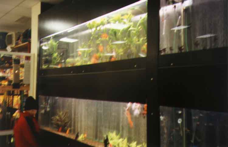 If picture is not shown here, it probably doesnot exist for this quality ... (choose another quality)