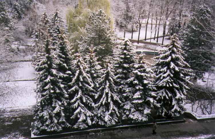 If picture is not shown here, it probably doesnot exist for this quality ... (choose another quality)